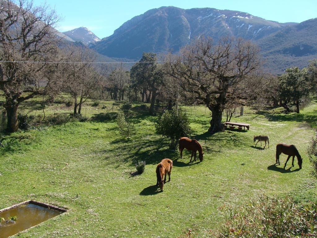 Fattoria Mongerrate Βίλα Isnello Εξωτερικό φωτογραφία